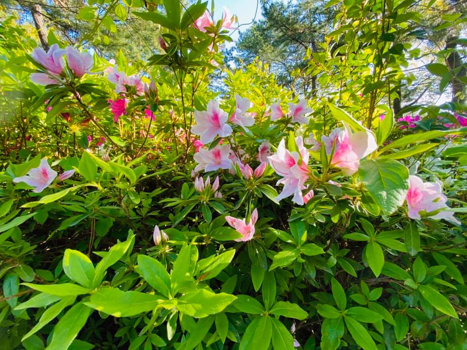 近隣の公園にて