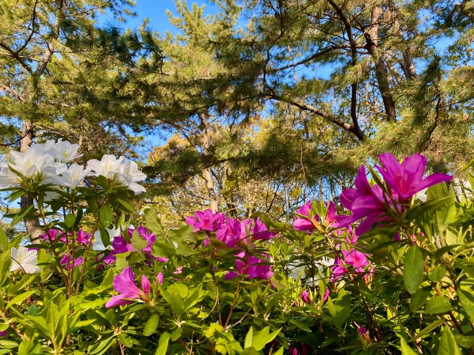近隣の公園にて